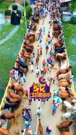 গরীবের কোরবানি দেওয়া