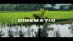 9 Klip Cinematic HD