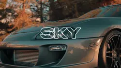 FLY IN THE SKY 