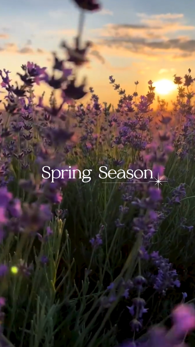 spring season
