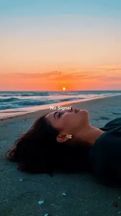 No Signal