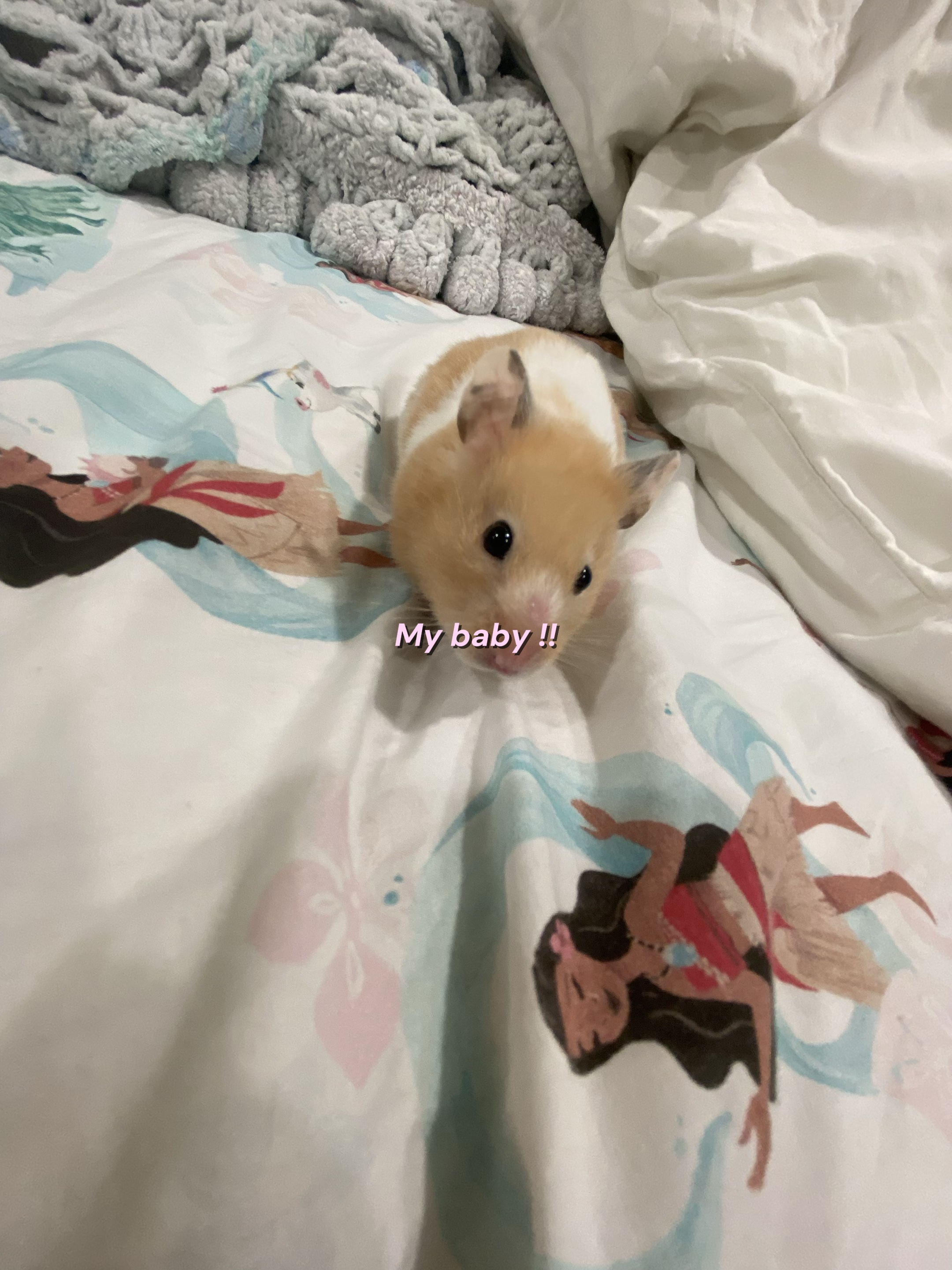 Mon bébé!!
