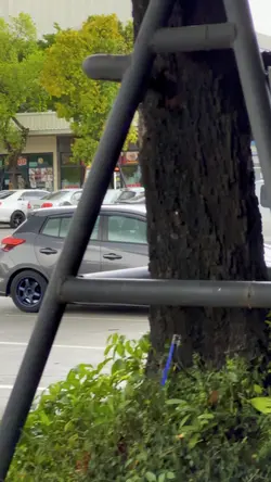 2คลิปยาวๆ