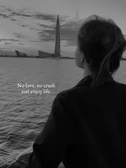 no love, no crush,