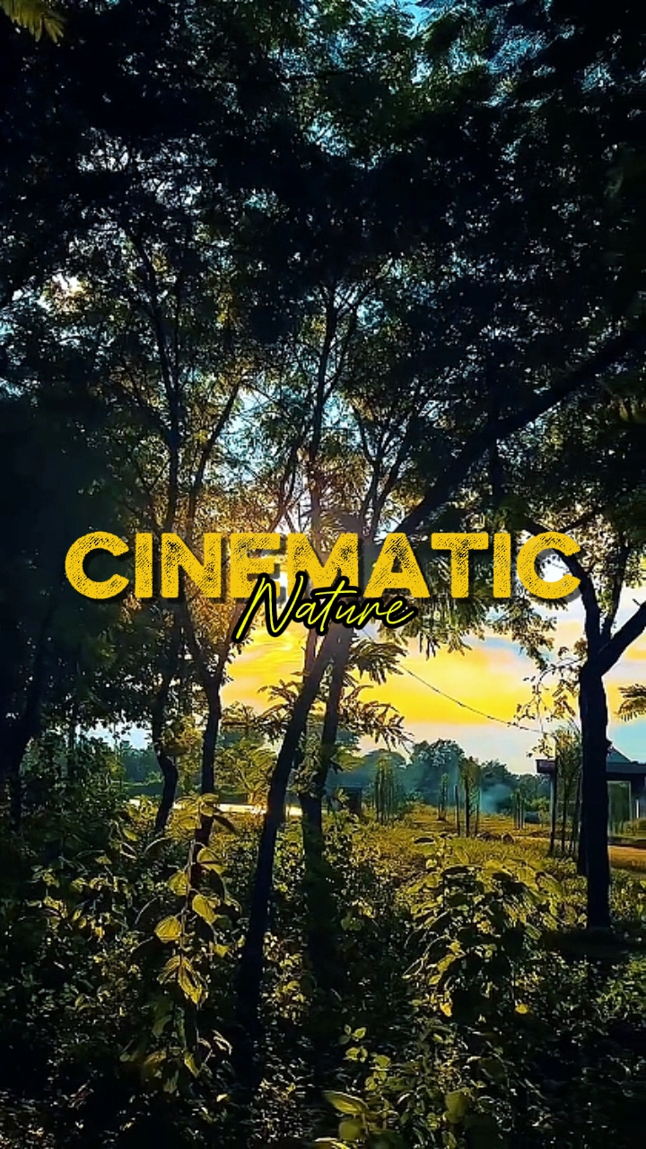 NATURE CINÉMATIQUE