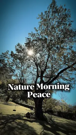 Morning Peace 