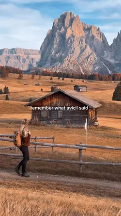 avicii said