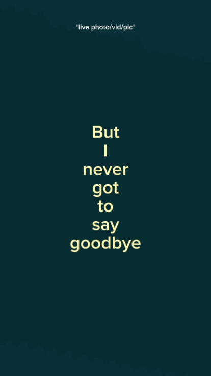 Adiós