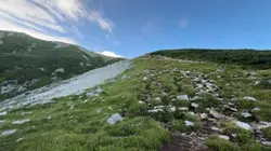 Cinematic