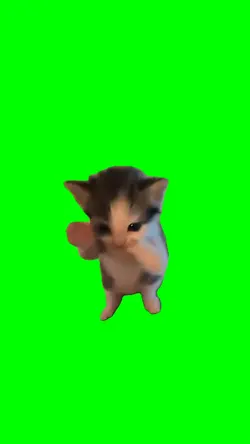 CAT KICAU MANIA