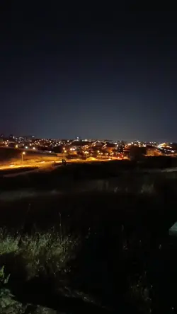 Neşet Ertaş