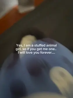 Stuffed animals