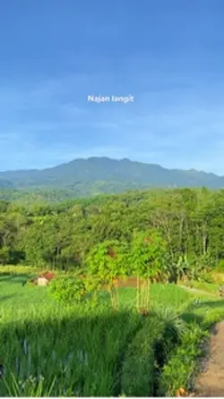 najan langit Henteu