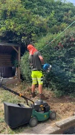 Garden refresh
