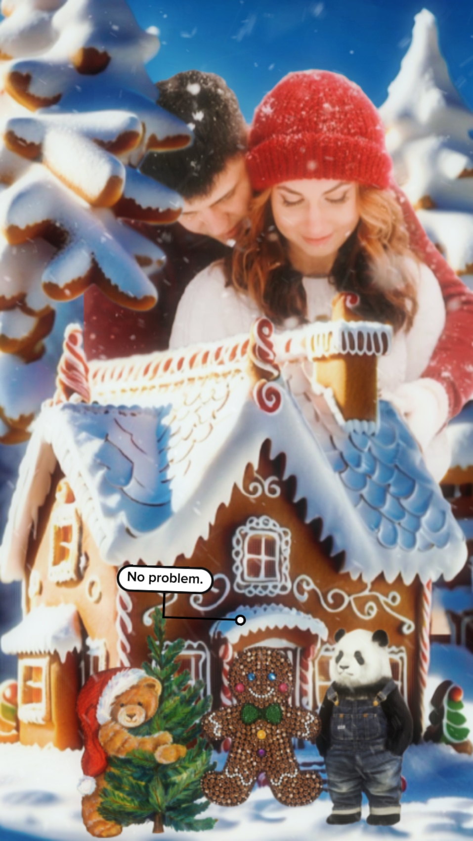 Cover Picture