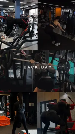 back day
