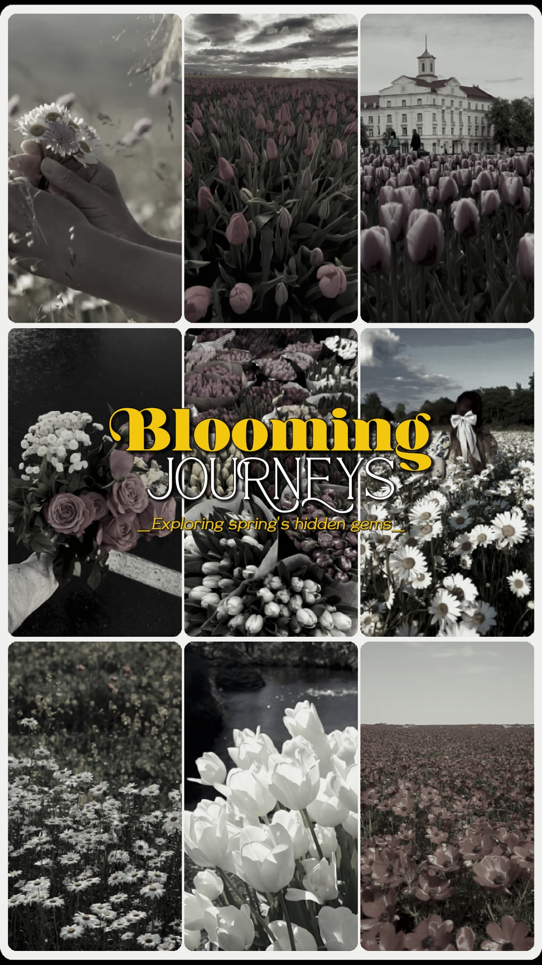 BLOOMING JOURNEYS