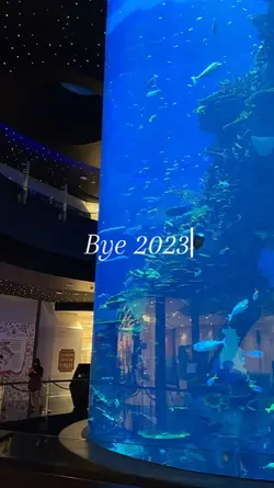 Bye 2023