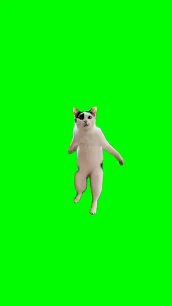 Dancing Cat