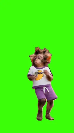 Monkey.