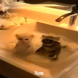 Free Anime Edit