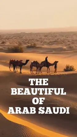 Arab Saudi Tourism