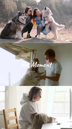 Pet moment