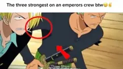 Zoro Sanji and luffy