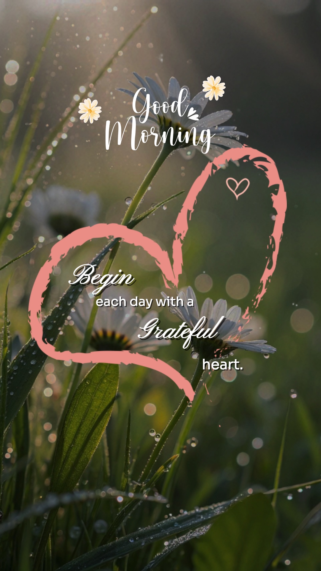 Good Morning ❤️