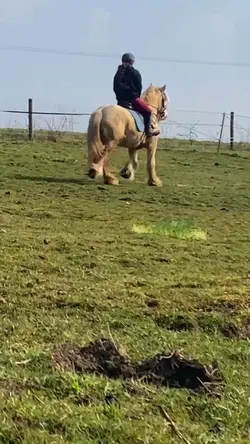 Such fun!