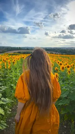 Vlog