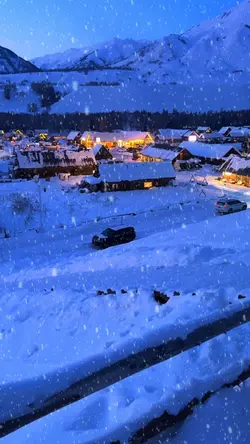 Snow Trend