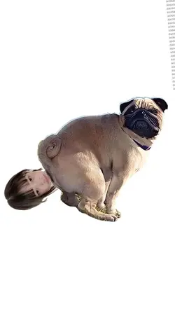 poop