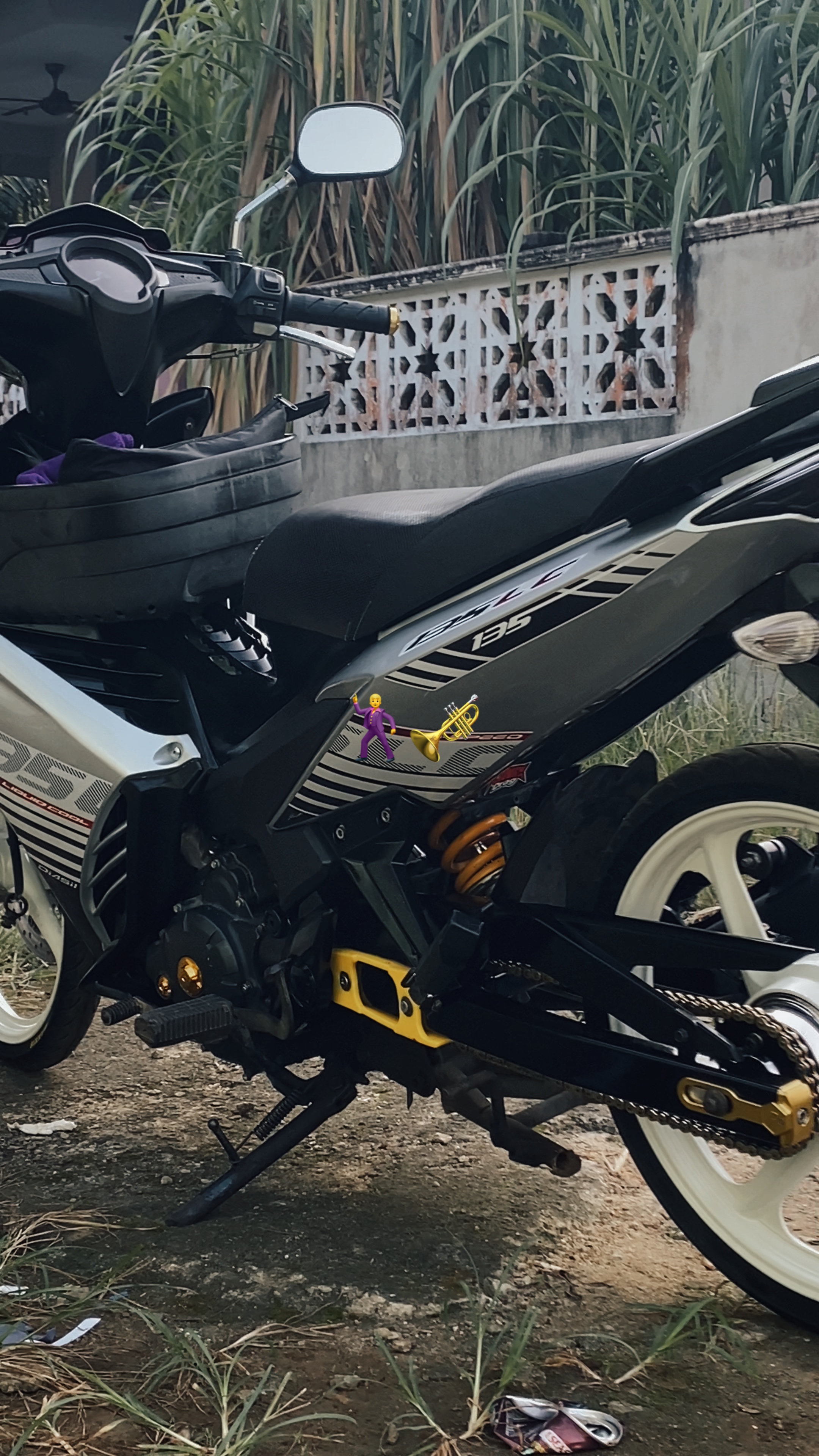 Cover Picture