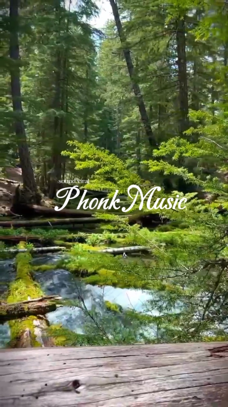 Nature Aesthetic 