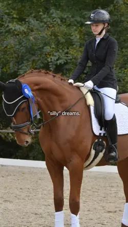 “Silly” dreams