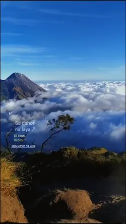 slowmo dahon na laya