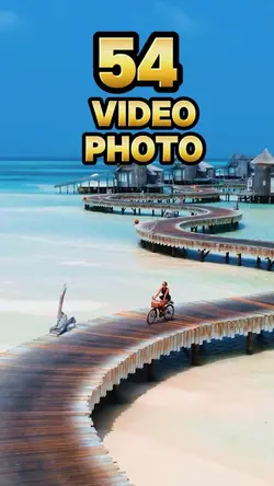 54 video or photo