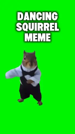 Dancing Squirrel
