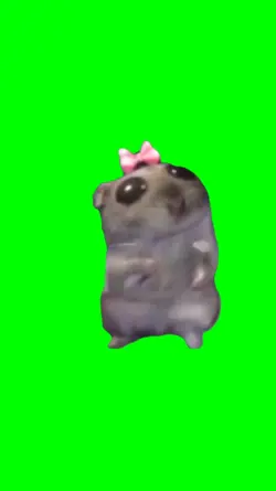 sad hamster dance 