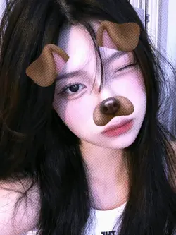 dog filter