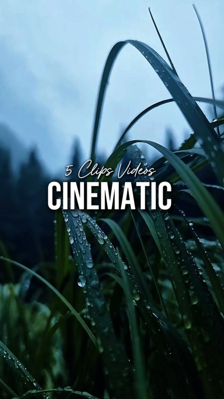 5 Videos Cinematic 