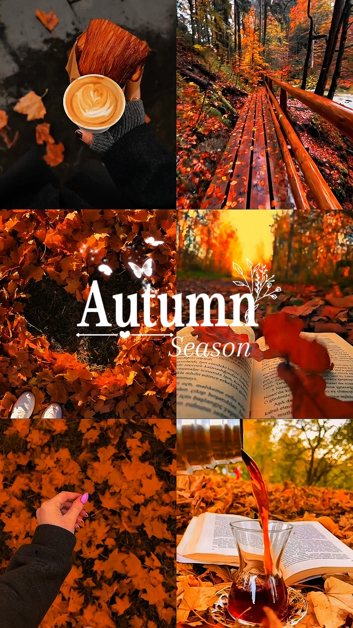 Temporada de otoño