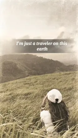 Traveller