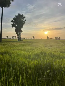 Morning ๐ป๐ฉท