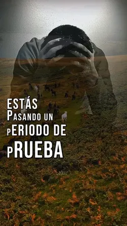 Reflexión Cristiana