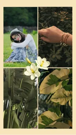 Nature aesthetic