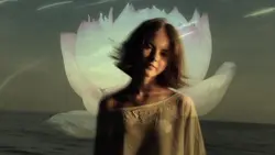 1Vid Aesthetic