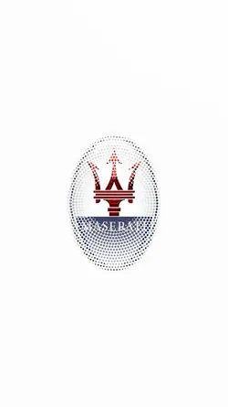 OPENING YOUR LOGO 