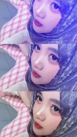 v2 miror